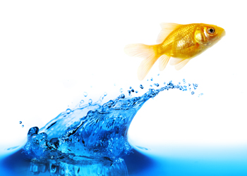 水滴角測量儀 水滴角測量儀